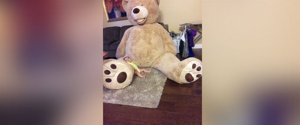 gigantic teddy bear