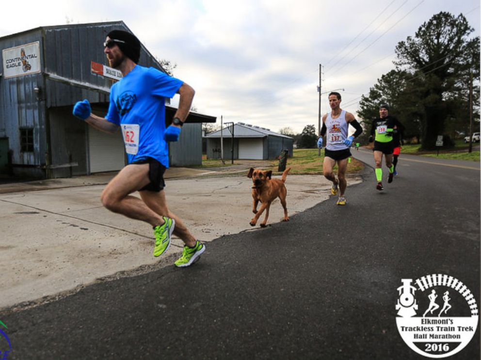 PHOTO: Ludivine the dog raced to a seventh-place finish in a half marathon in Elkmont, Alabama.