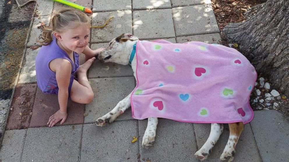 PHOTO: Neeva, 4, is deaf and uses sign language to communicate with her dog, Baxter. 