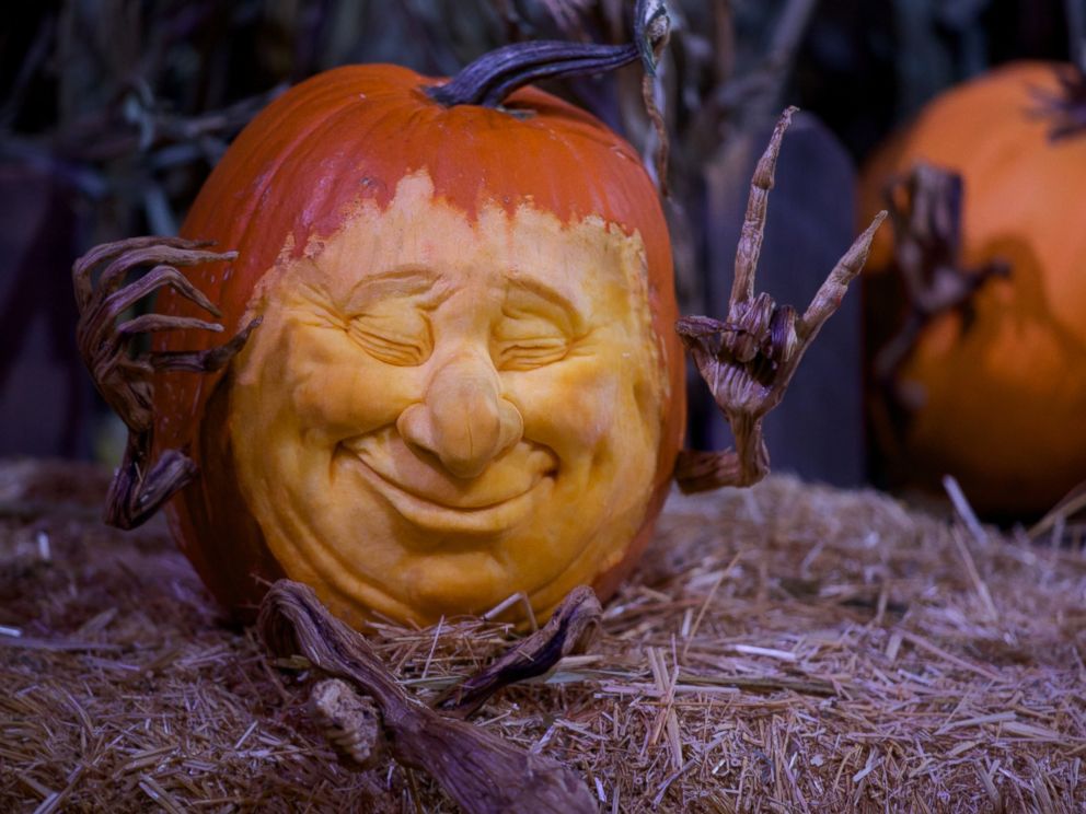 Inside 'Enchanted Garden' Pumpkin Carving See the TimeLapse Creation