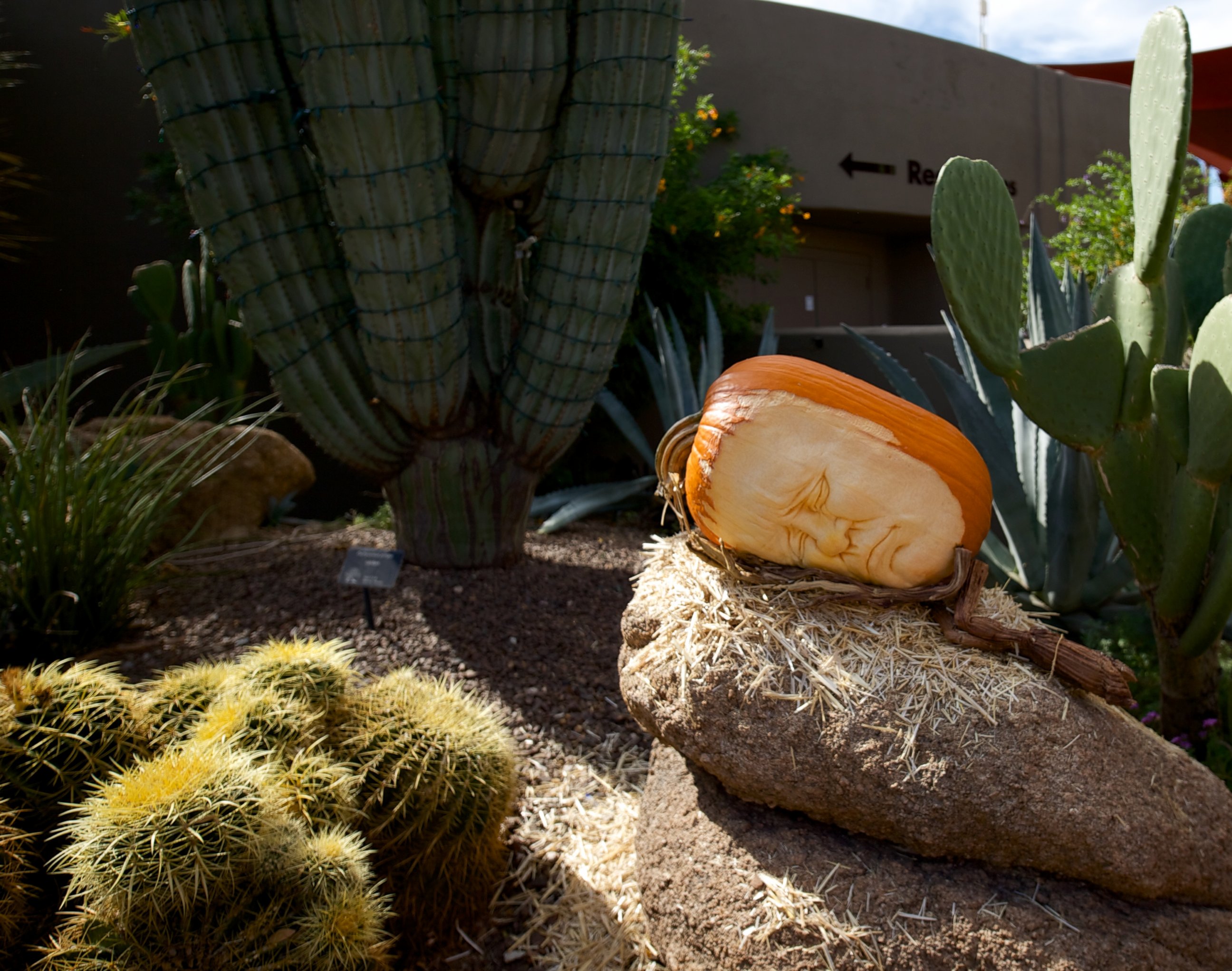 PHOTO: Master sculptor Ray Villafane and his team of carvers created "Enchanted Pumpkin Garden" in Carefree, Arizona. 