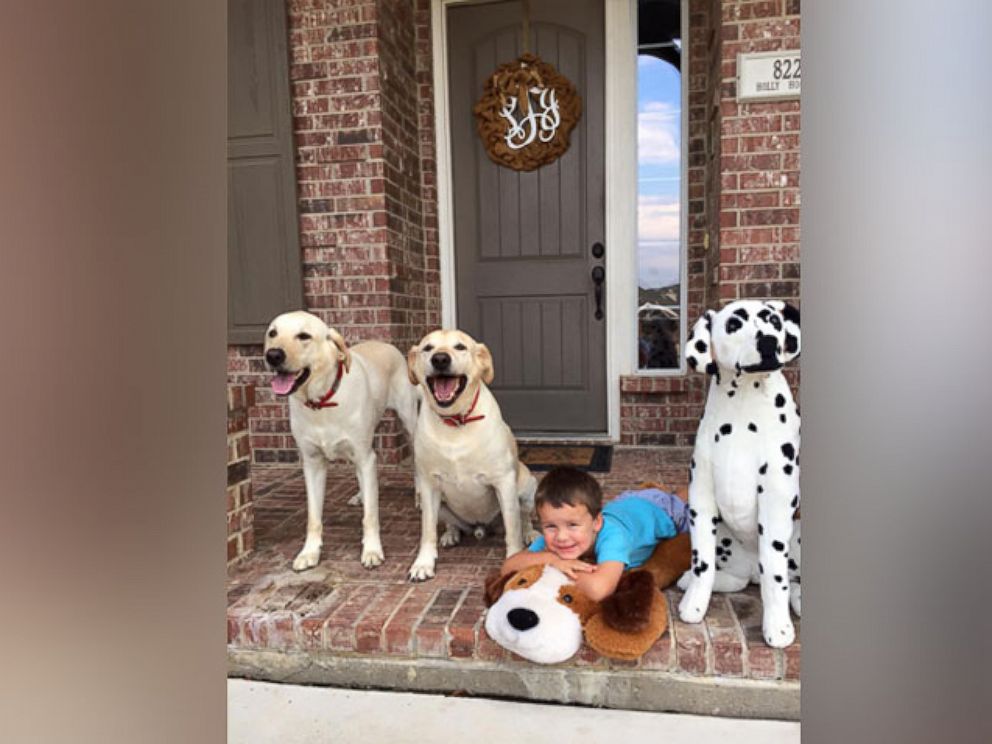 PHOTO: Tipton's two white labs photographed with his son, Caden, 4. 