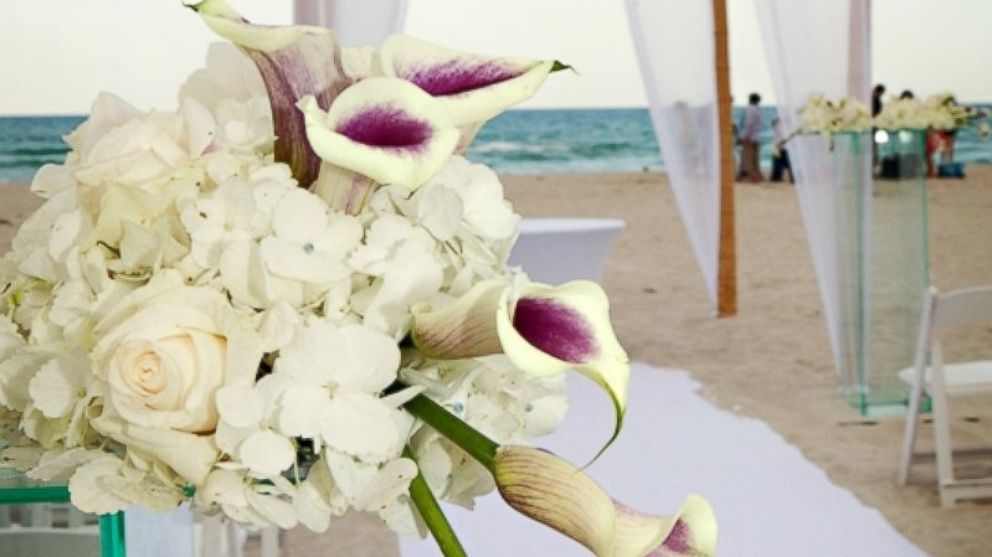 The W Hotel South Beach has put together a million-dollar wedding package. 