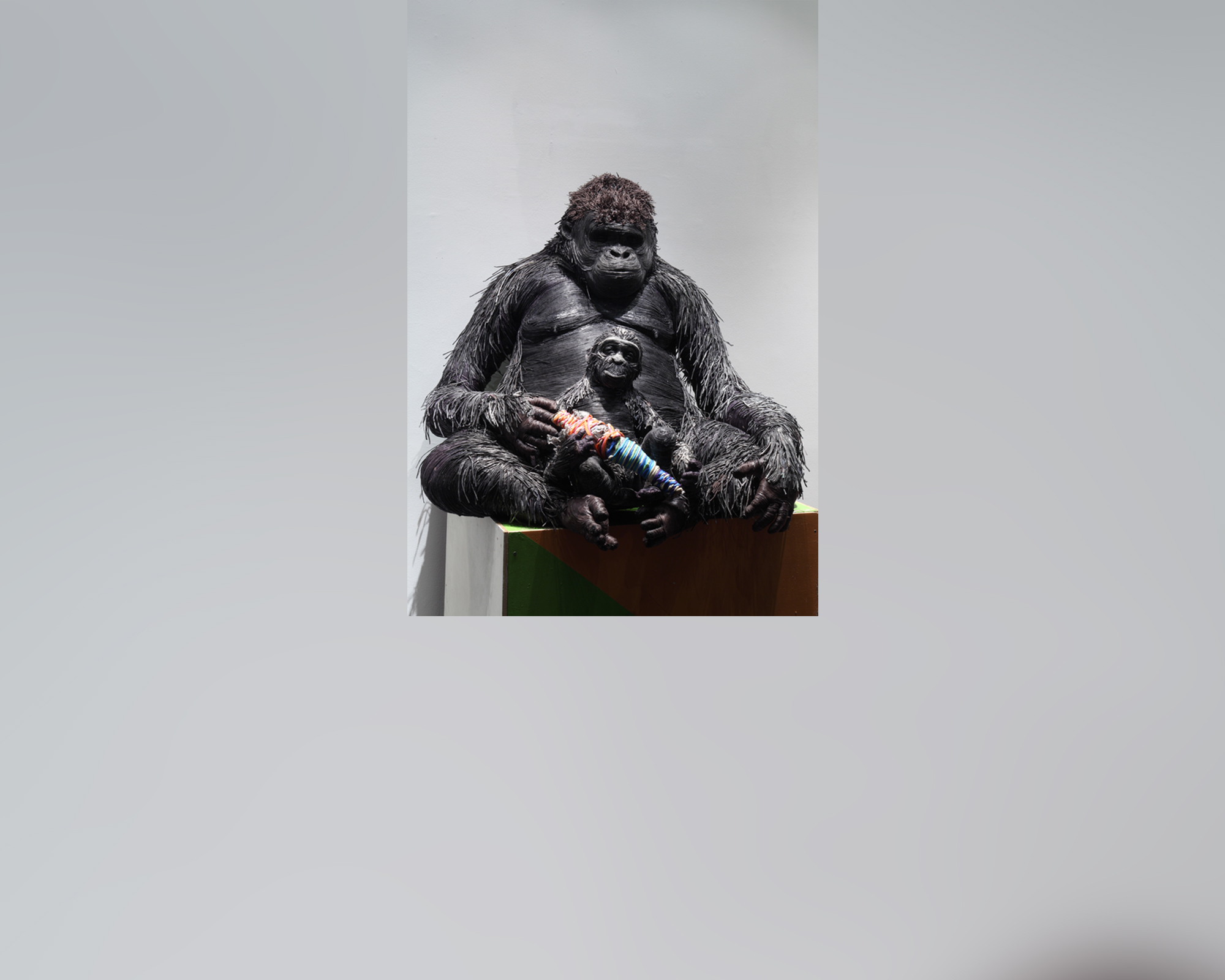 PHOTO: "Gorilla's mum, 2011," is seen here.