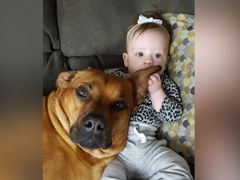 PHOTO: Nora, 5 months, is best friends with her grandmother's dog, Blake.