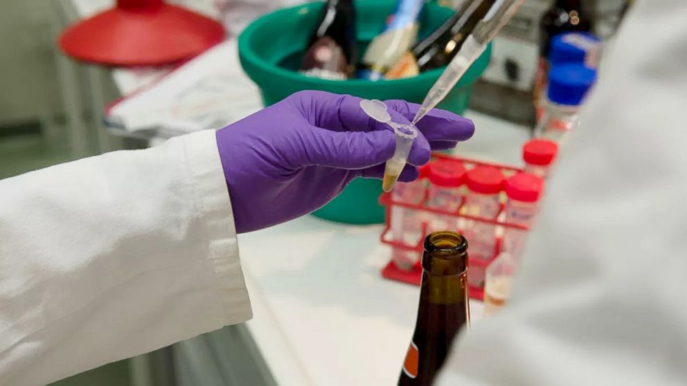 By analyzing a beer's DNA, scientists can predict if you'd like it or not.