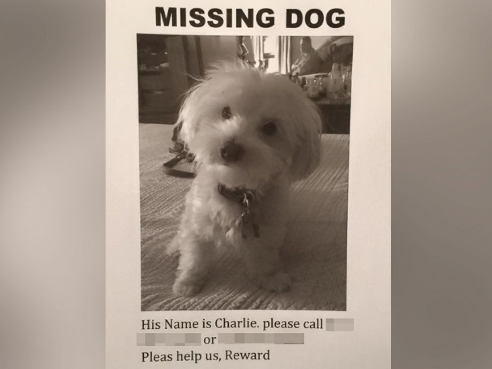 PHOTO:The Ducalo family is offering a $1,000 for Charlie the dog's return. 