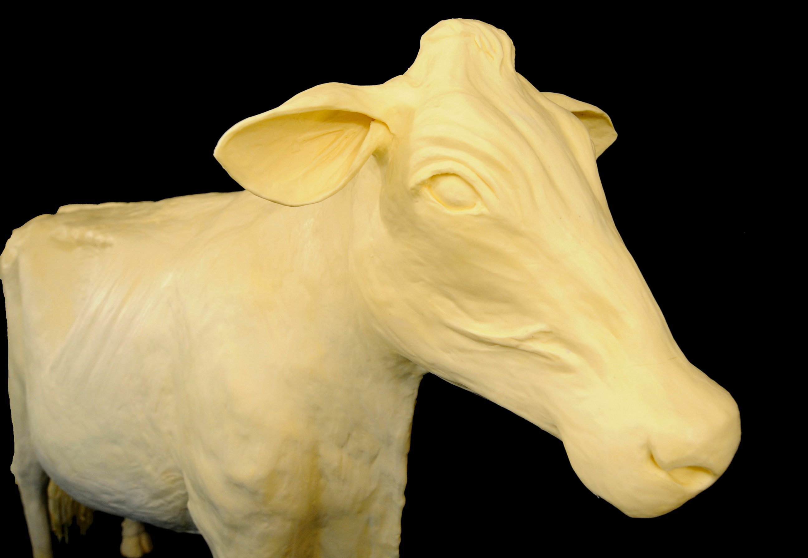 PHOTO: The Iowa State Fair's 2010 butter cow.
