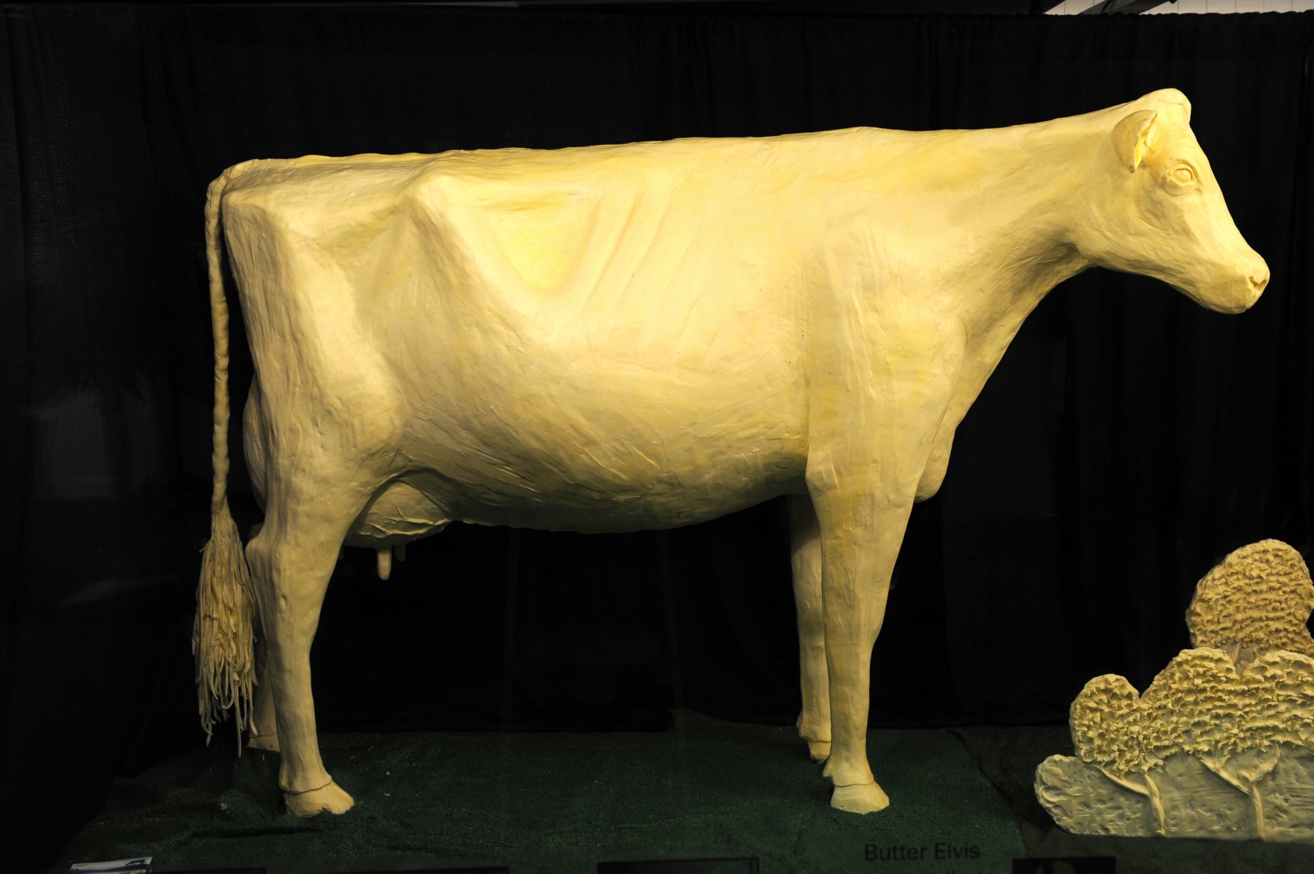 PHOTO: The Iowa State Fair's 2012 butter cow.