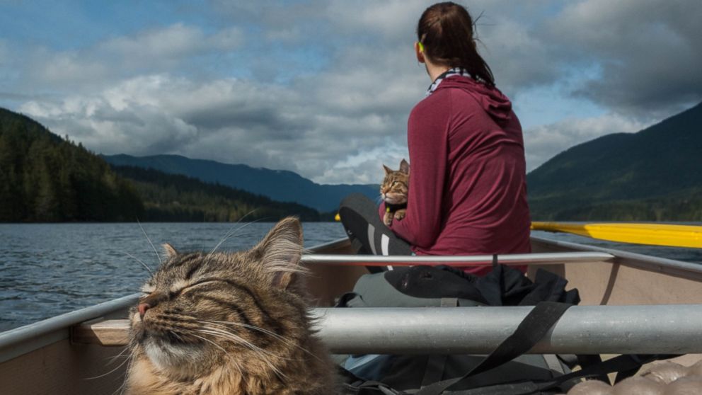 PHOTO: Bolt and Keel are rescue cats who've become Instagram darlings for their adventures in Canada's great outdoors.