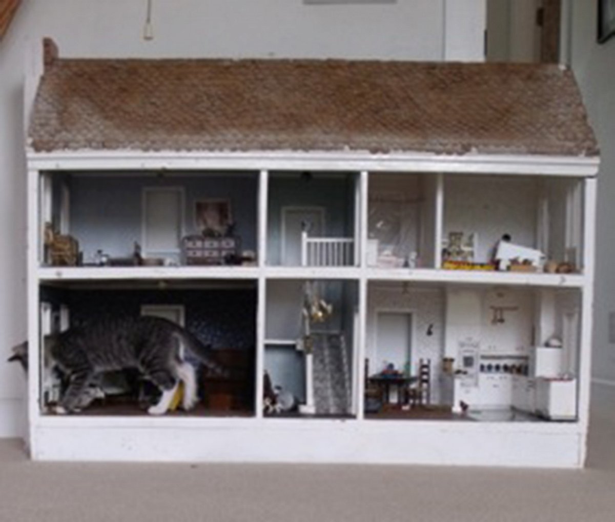 Photo of Cat Destroying Dollhouse Goes Viral on Reddit Imgur ABC News