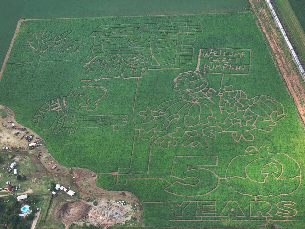 PHOTO: More than 90 farms nationwide are celebrating the Peanuts' 50th anniversary of "It's the Great Pumpkin, Charlie Brown."