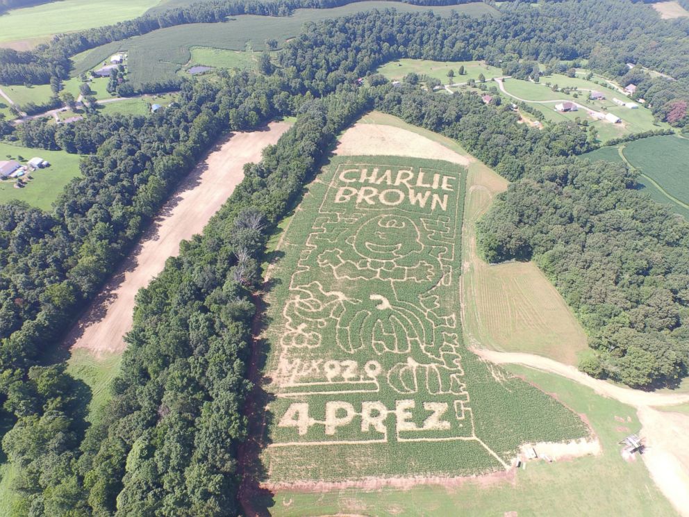 PHOTO: More than 90 farms nationwide are celebrating the Peanuts' 50th anniversary of "It's the Great Pumpkin, Charlie Brown."