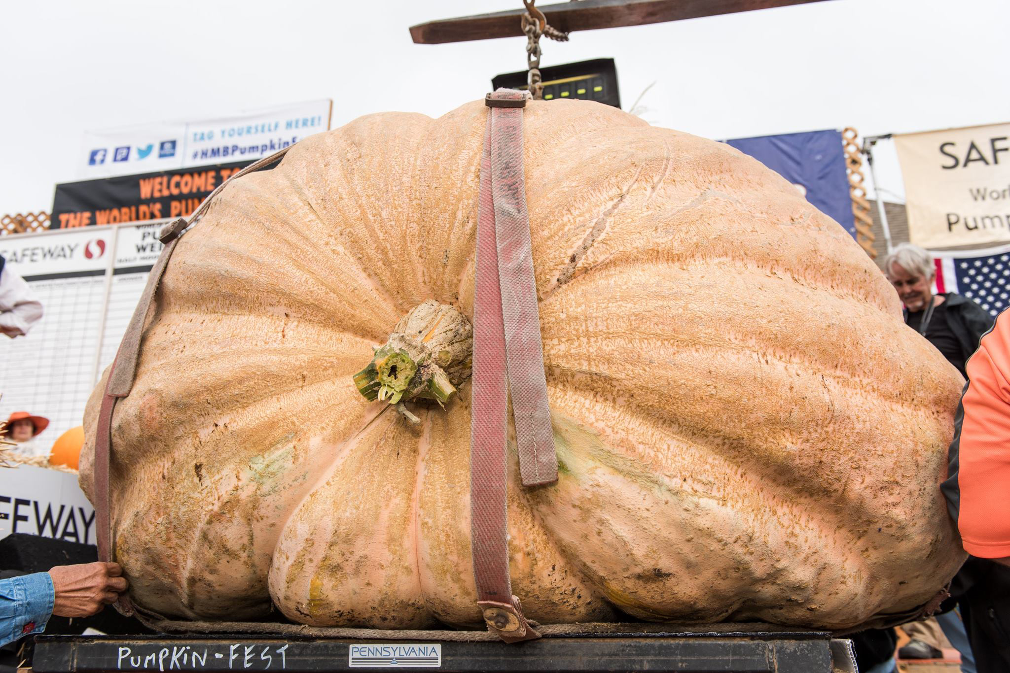 PHOTO: Cindy Tobeck, a third-grade teacher from Washington state, won over $11,000 for her 1,910-pound gourd at the 43rd Annual Safeway World Championship Pumpkin Weigh-Off in Half Moon Bay, California, Oct. 10, 2016. 
