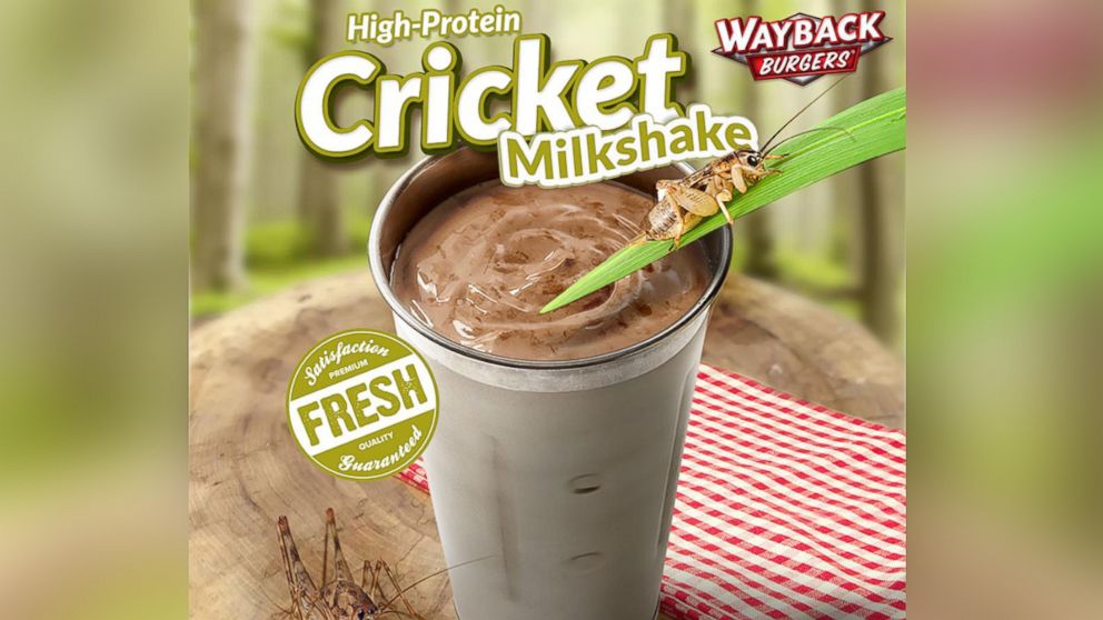 Wayback Burgers chain will introduce cricket-protein spiked shakes to the menu July 1.