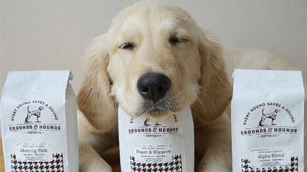 Coffee for L.A.' s proposed first-ever Dog Cafe would be provided by aptly name beans purveyor Grounds & Hounds.