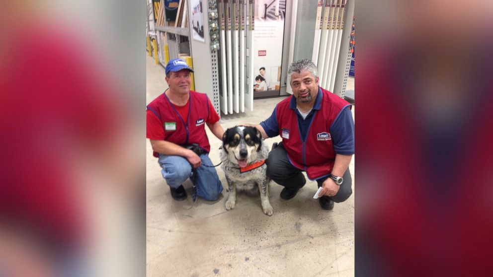 A man and his service dog were hired at Lowe's after having trouble finding an employer for them both. 