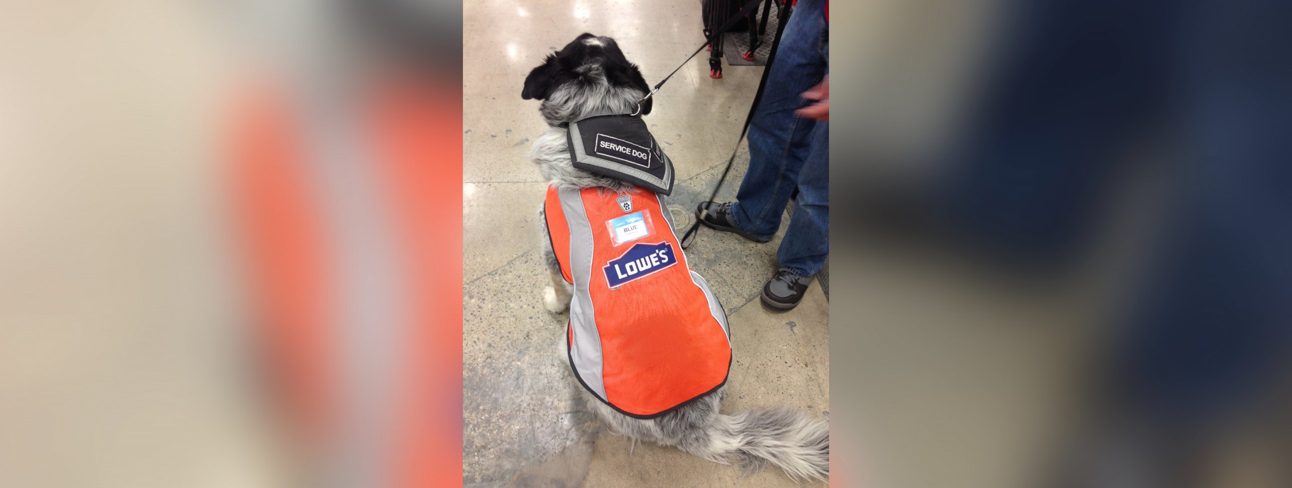 PHOTO: A man and his service dog were hired at Lowe's after having trouble finding an employer for them both. 