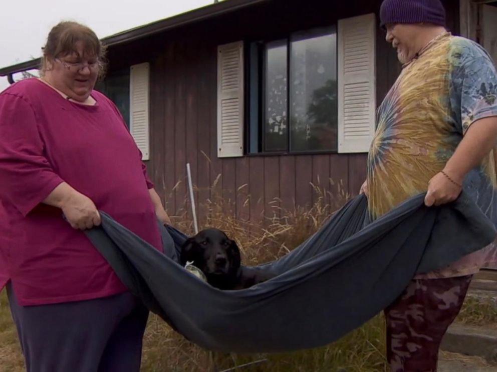 PHOTO: Charley the dog had his wheelchair stolen from the front porch of his home, according to his owners, Rod Beauregard and Leona Wolf.