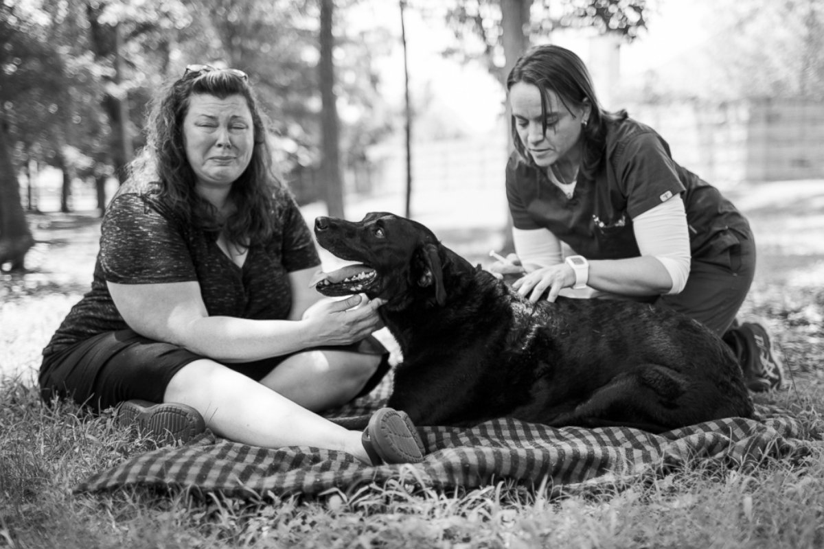PHOTO: Jordan Greene Roberts sits beside her dog, Duke, at the end of his final day. 