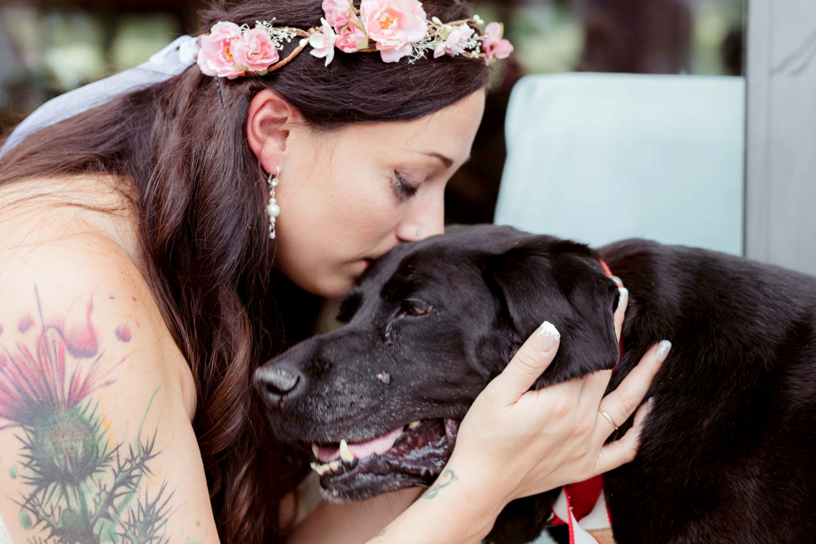 PHOTO: On Sept. 1, maid of honor Katie Lloyd carried Charlie Bear, 15, her sister's dying dog, down the aisle during her wedding in Buena Vista, Colorado. 