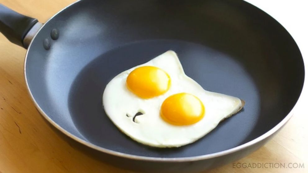 Cat egg molds are shown from the Kickstarter page by Egg Addiction titled: "Sunny Side Up - Egg Addiction Molds." 