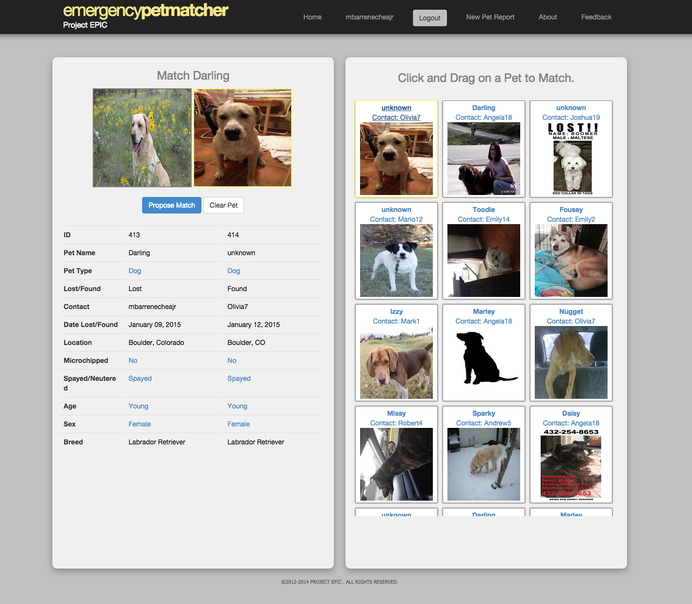 PHOTO: EmergencyPetMatcher users can help match photos of lost pets to photos of found pets using an up-vote and down-vote system.