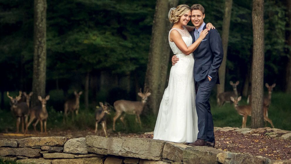 Erick and Lauren Fix's wedding photo included the surprise addition of wild deer in Stockton, N.J.
