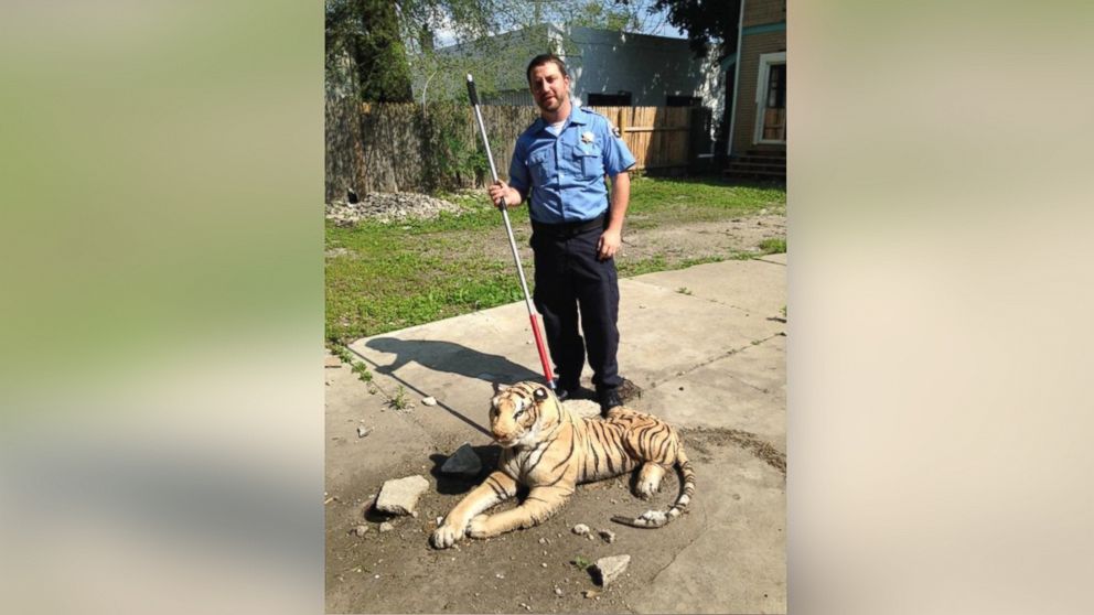 PHOTO: The stuffed animal's owner was unknown, so the officers decided to take the harmless tiger into custody.