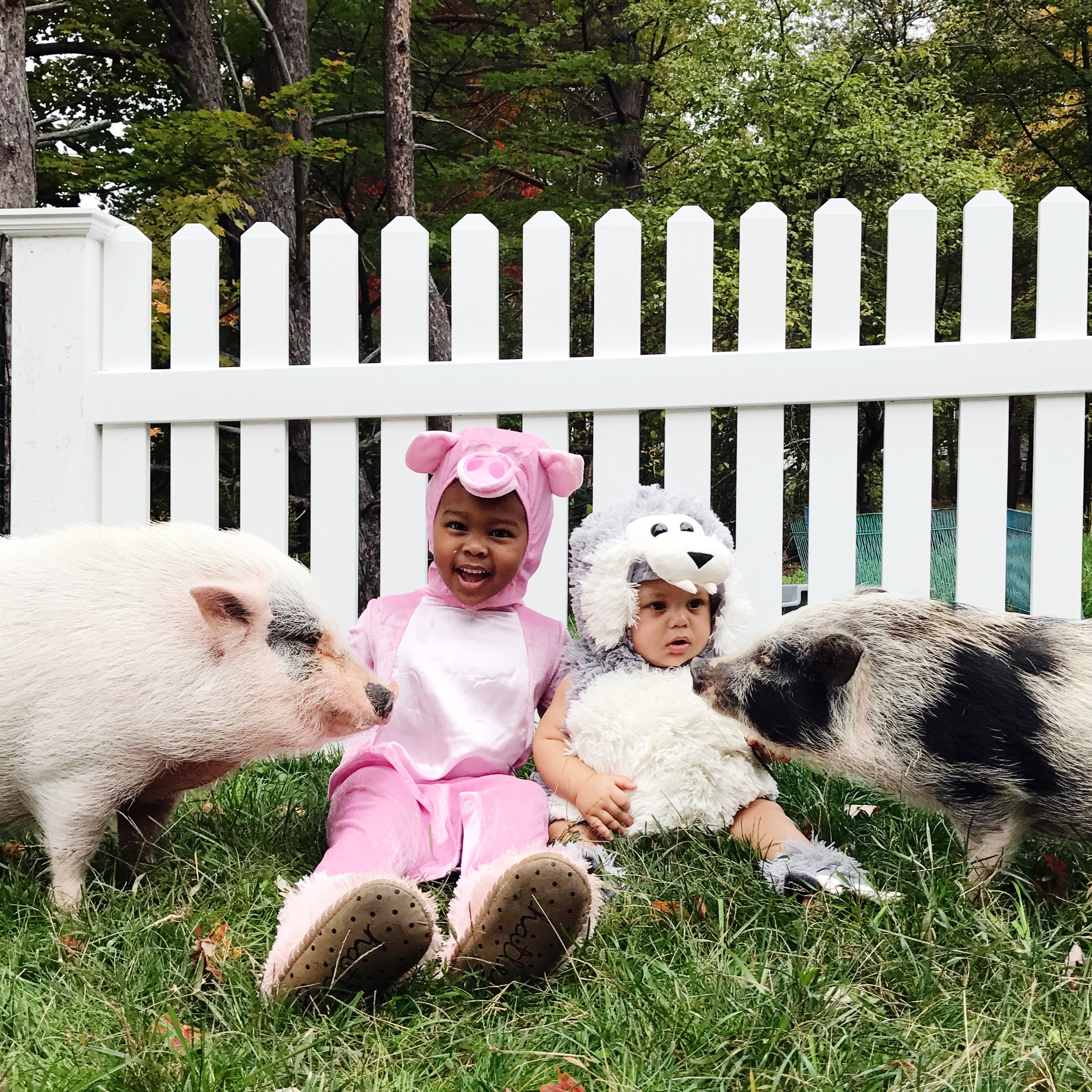 PHOTO: Lindsey Bonnice, a Pennsylvania photographer, captures her children dressing up for Halloween with their farm animal pets.
