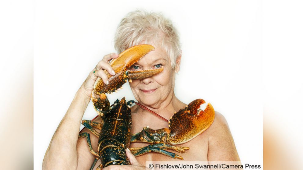 PHOTO: Dame Judi Dench appears in the 2015 Fishlove fundraising photo campaign.