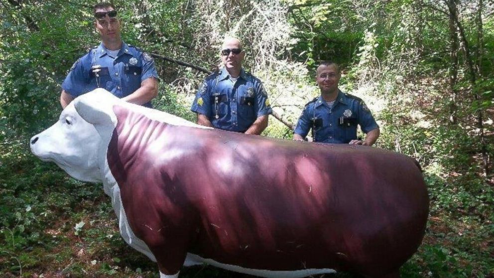 "Charlie the Steer" was returned to Town & Country Foods in Maine after being stolen.