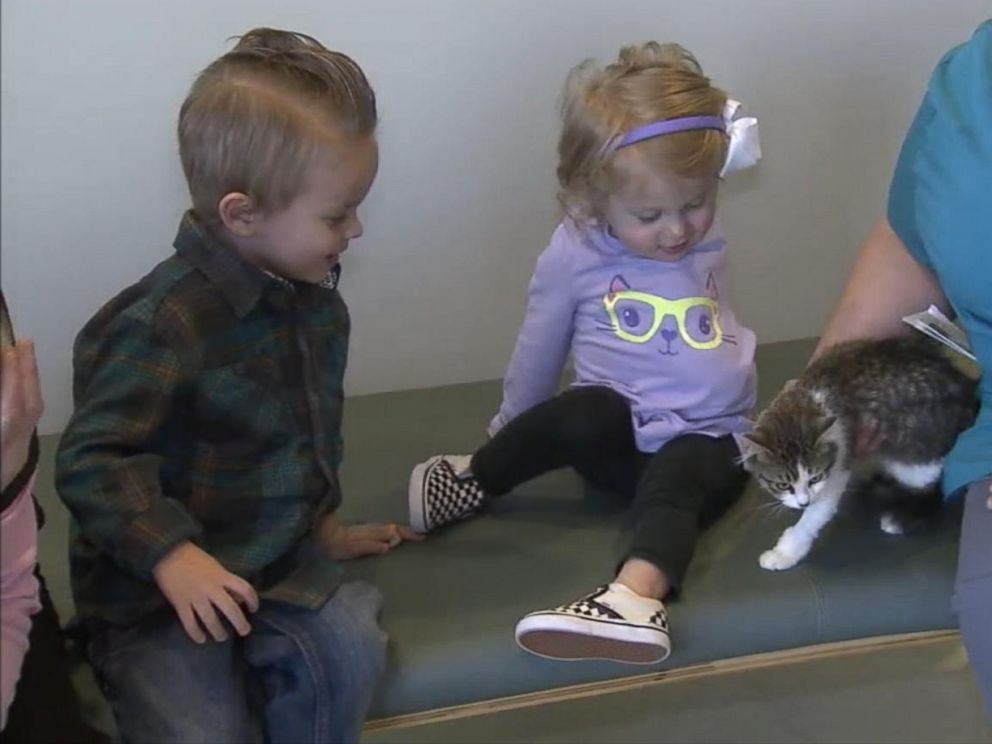 PHOTO:Orange County, California, parents Matt and Simone Tipton adopted a three-legged cat named Holly on Dec. 30, 2015, for their 2-year-old daughter Scarlette, who lost an arm in 2014.