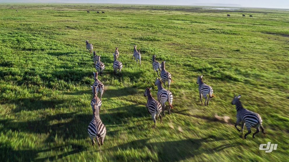 PHOTO: A drone camera captures the stunning scenes of Tanzania's Ngorongoro Crater.