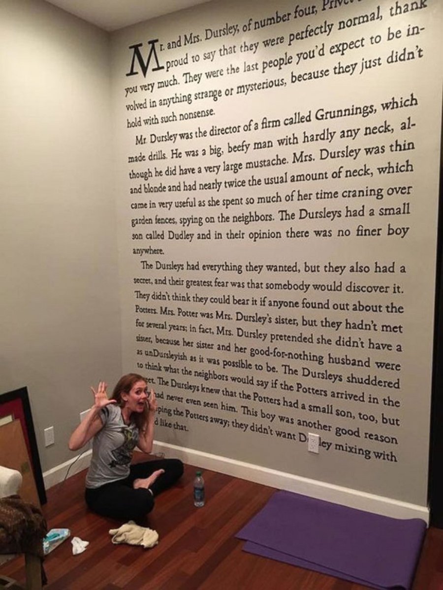 PHOTO: It took three weeks for author Meredith McCardle to paint the first few words of the Harry Potter series onto her wall.