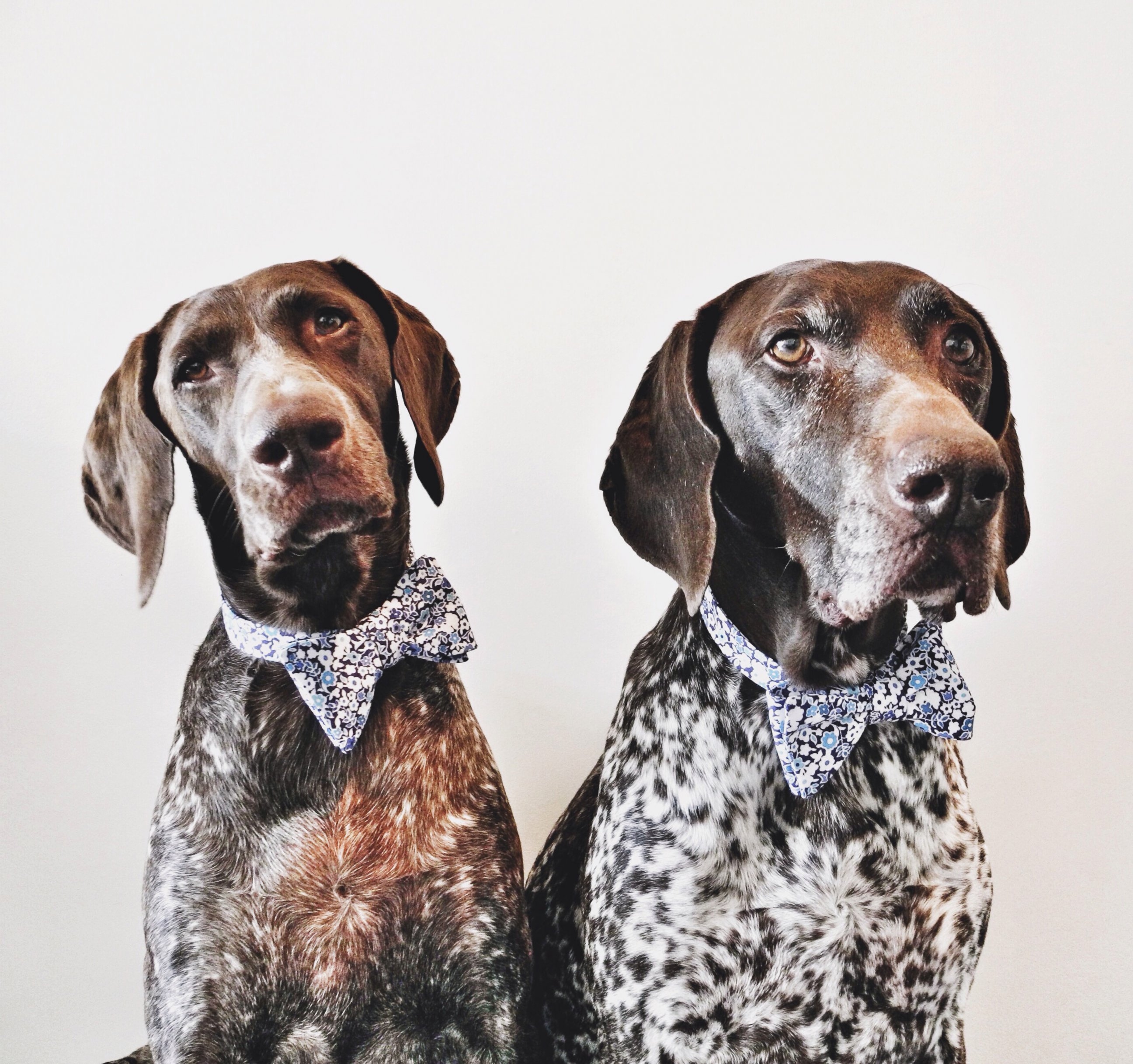 National Dog Day 2014: The Bond Between Two Friends Photos | Image #31 ...