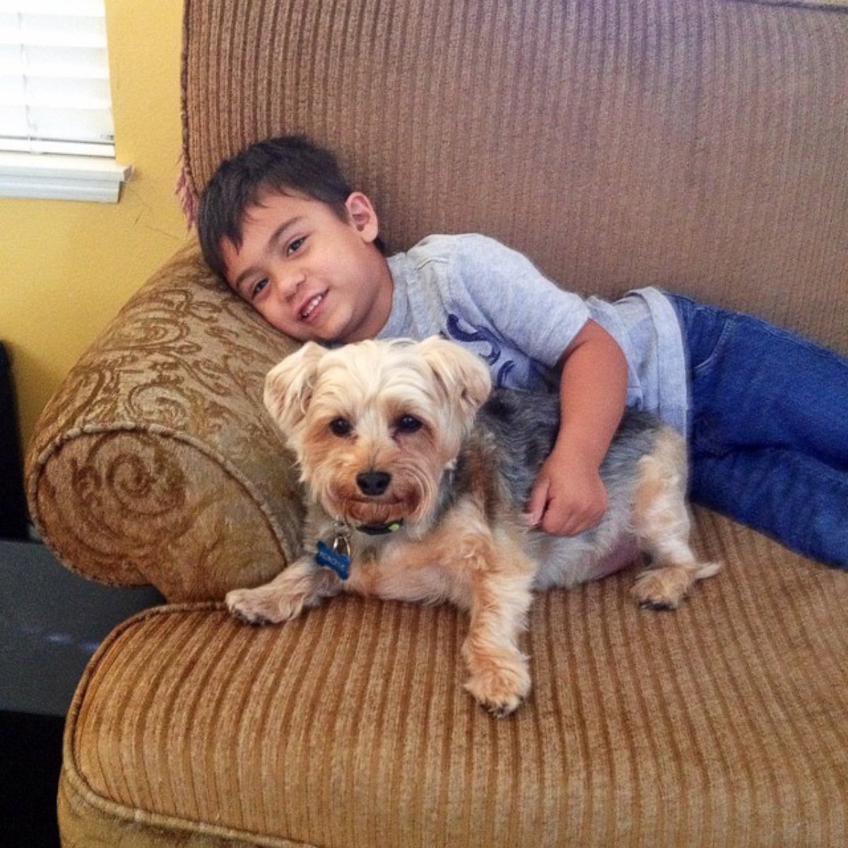 PHOTO: Jacob has autism and his mother Katie Tumalan said reading to the dogs has helped with his sensitivity to loud noises. 