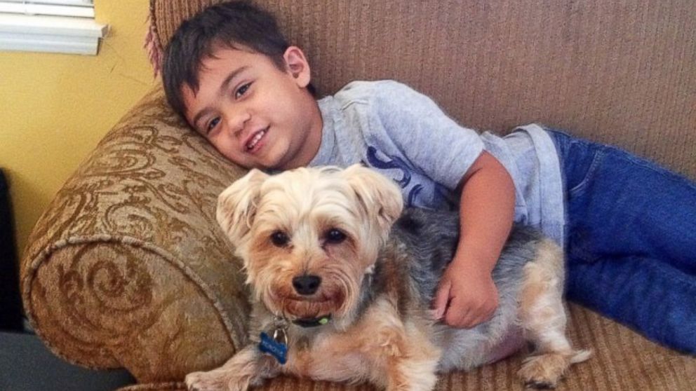 PHOTO: Jacob has autism and his mother Katie Tumalan said reading to the dogs has helped with his sensitivity to loud noises.