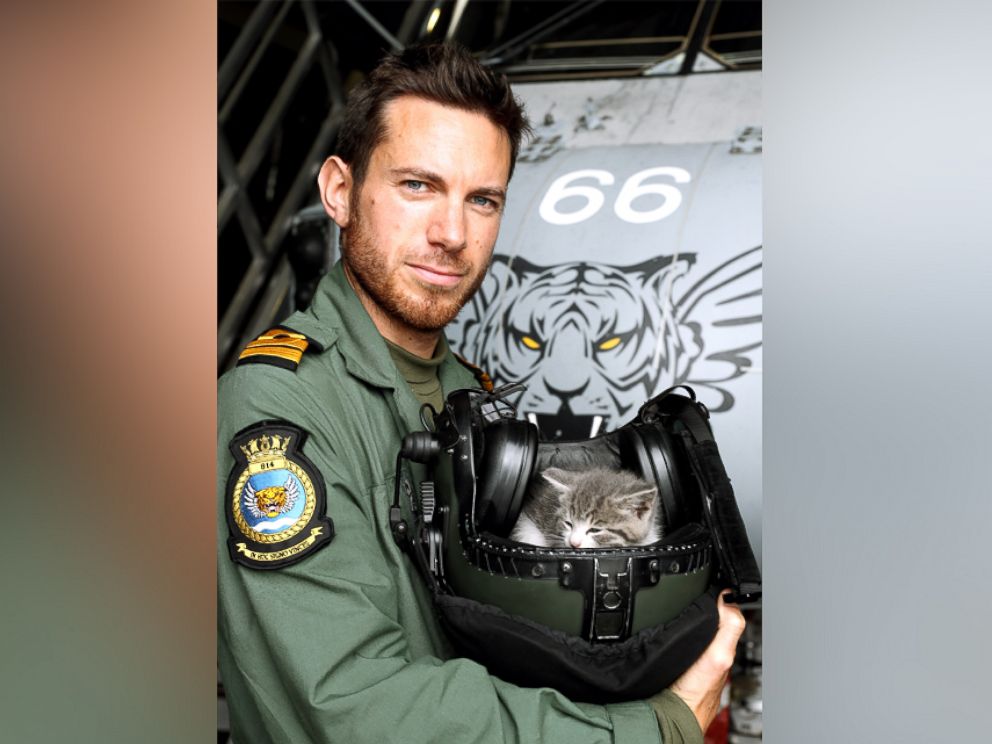 PHOTO: The kitten survived a 300-mile journey hiding inside the bumper of a UK Royal Navy helicopter pilot's car.