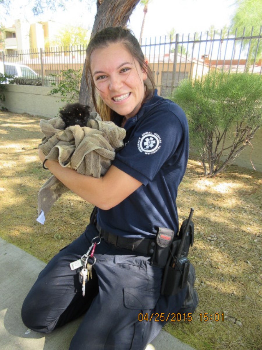 PHOTO: Kelley Mallon, an emergency animal technician with the Arizona Humane Society, rescued a tiny kitten from a manhole in Phoenix, Arizona, April 24, 2016. 