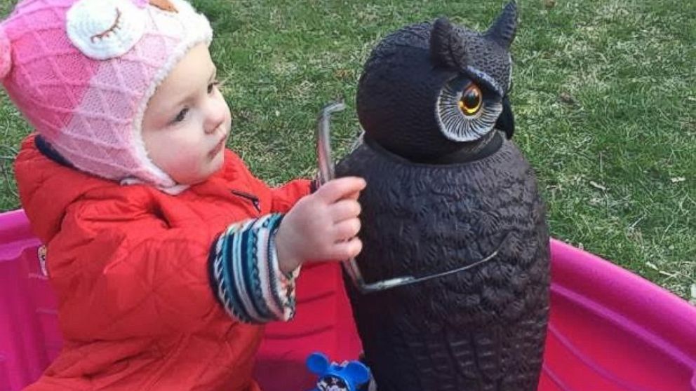 A little girl from the Boston area has become infatuated with an owl lawn ornament.