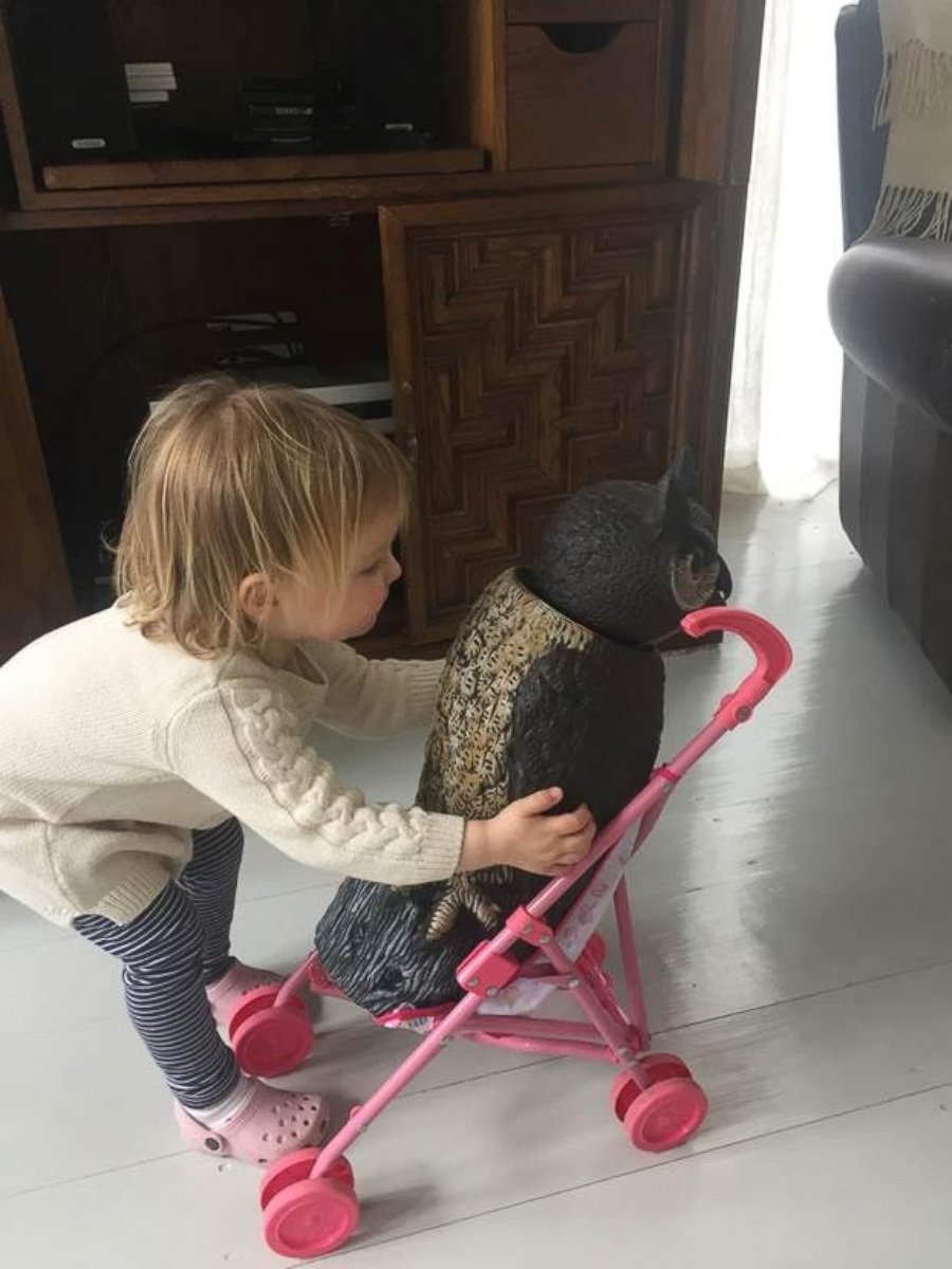 PHOTO:A little girl from the Boston area has become infatuated with an owl lawn ornament.