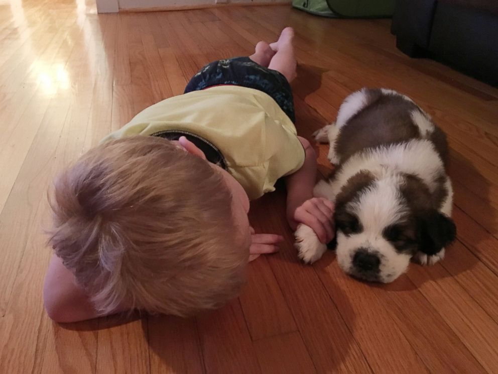 PHOTO: Lincoln Ball was gifted a puppy after his doctor discovered he was severely allergic to outdoor allergens. 