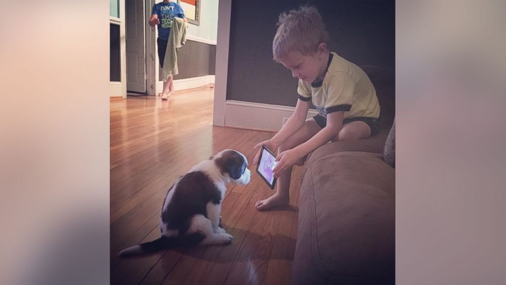 A photo of Lincoln Ball trying to train his new puppy by showing him a YouTube video has gone viral on Facebook.