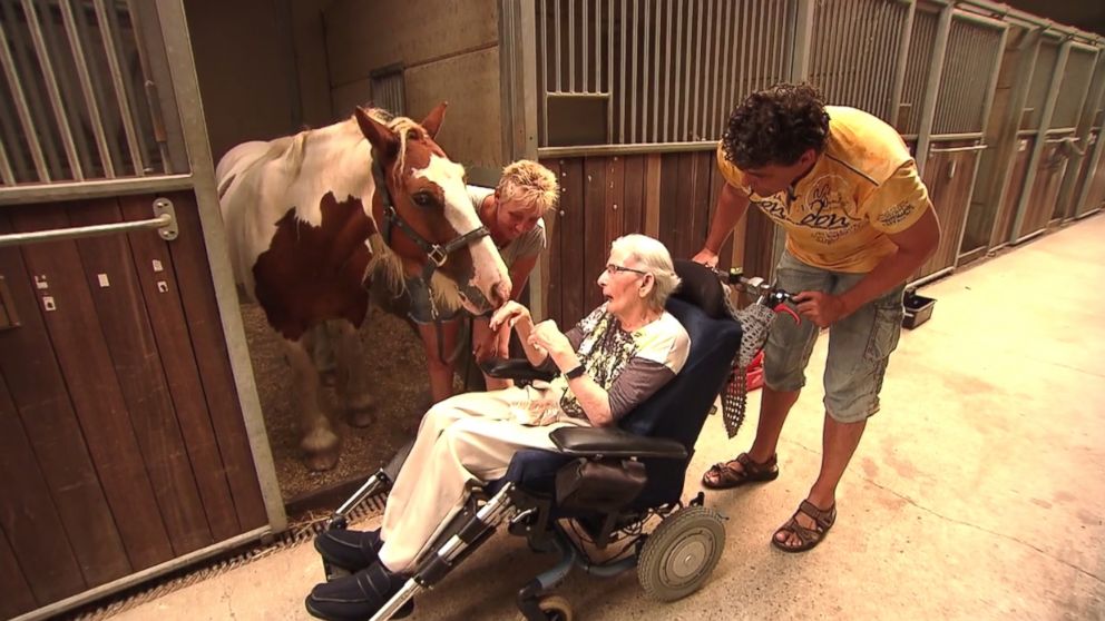 Nelly Jacobs, 87, a former horse jumper who was diagnosed with Parkinson's disease, was granted her wish to ride a horse again.