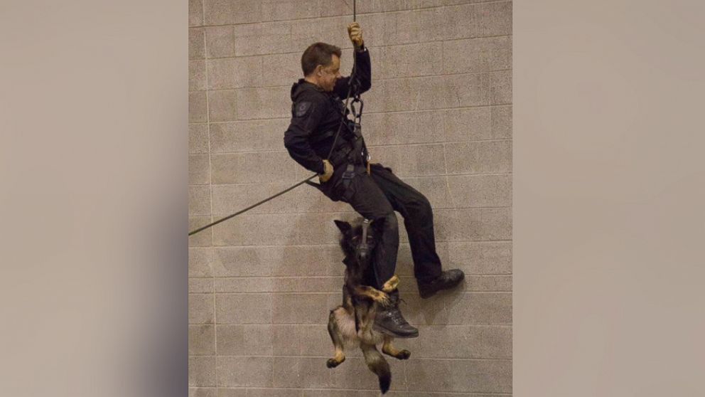 Police Service dog Niko seen rappelling with Constable Dan Ames of the Vancouver Police Department Canine Unit in an October training session.