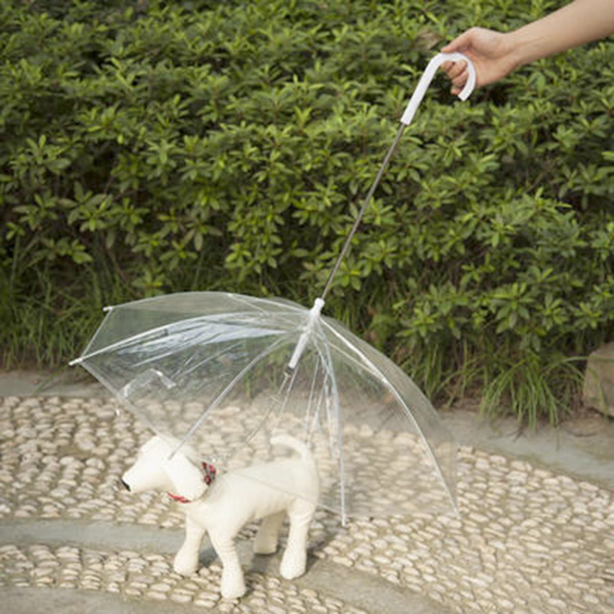 PHOTO: Cool Umbrellas