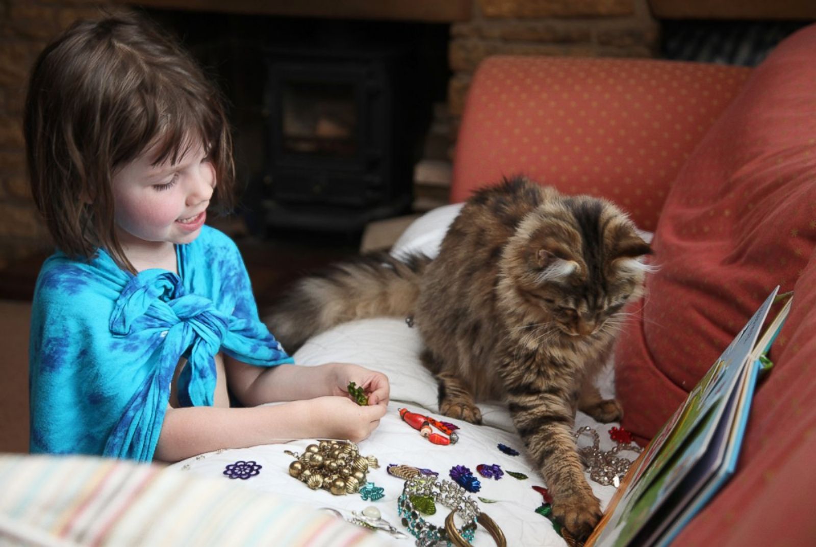 Детки играют с кисками. Айрис Грейс Хэлмшоу сейчас. Кошка для детей. Дети и коты. Большие кошки и дети.