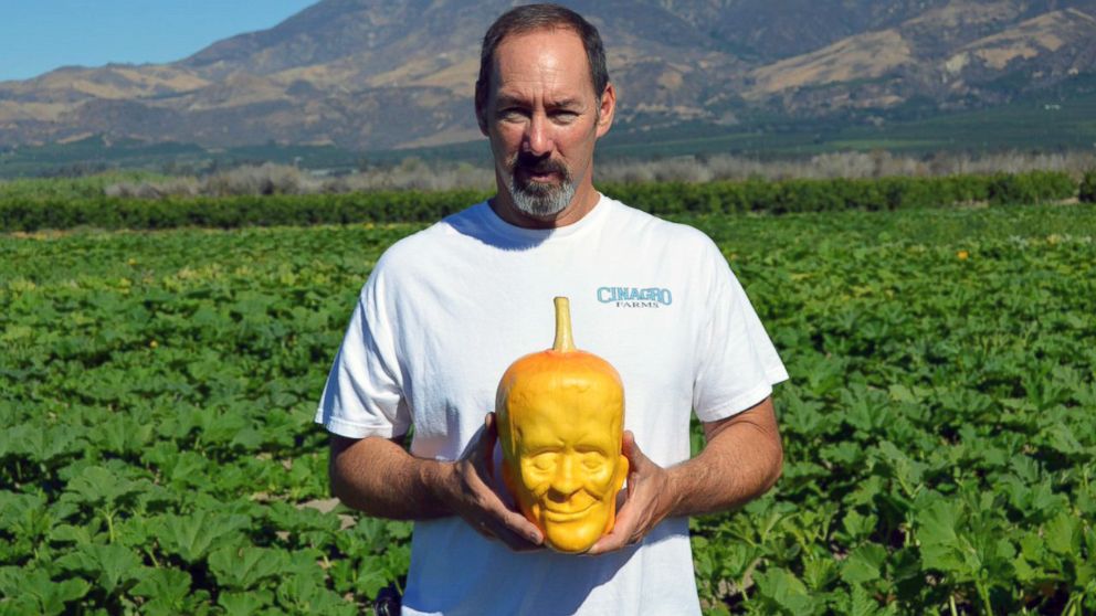 PHOTO: California farm owner Tony Dighera grows organic pumpkins that bear an uncanny resemblance to Frankenstein.