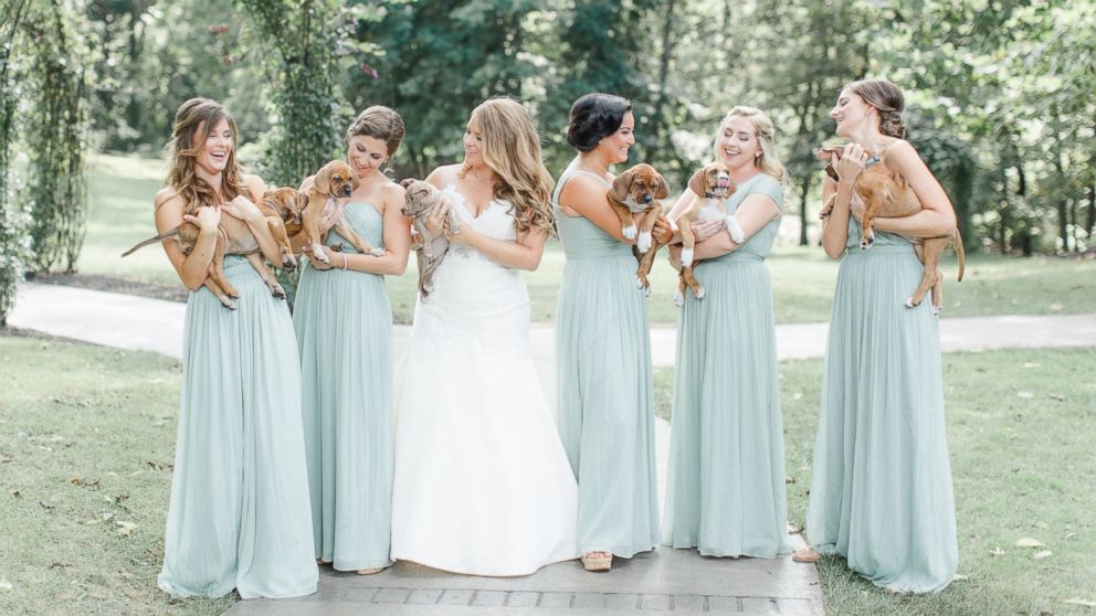 PHOTO: Puppies add a paw-dorable touch to Pennsylvania couple's magical wedding.